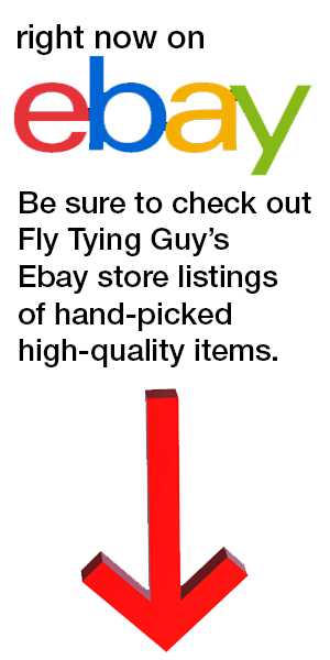 Ebay Sidebar Image
